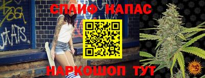 ешки Камышлов