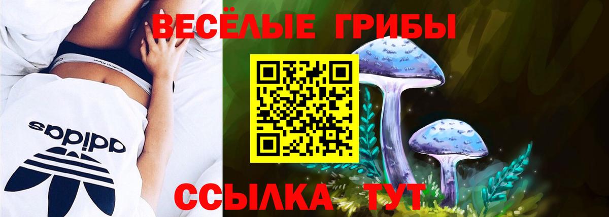 цена наркотик  Галлюциногенные грибы мицелий  Вход с VPN  Кувандык  Псилоцибиновые грибы ЛСД 